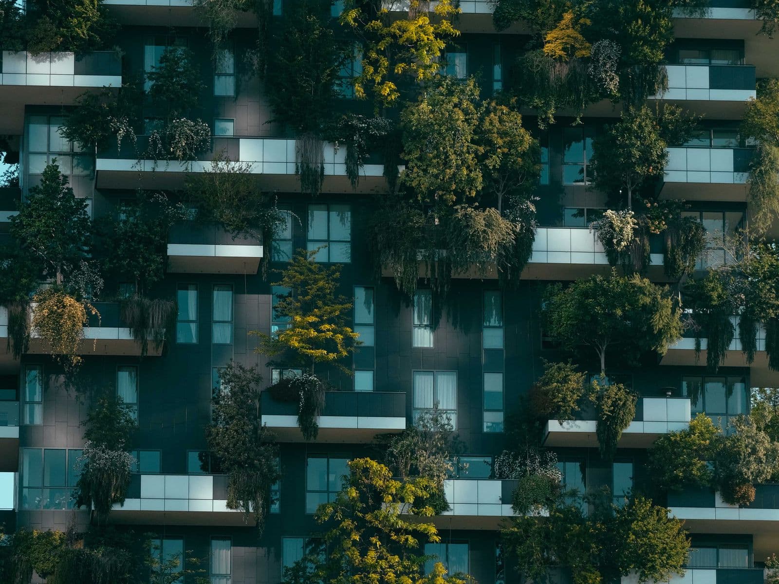 Immobilieninvestments